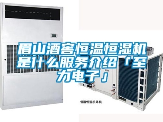 知识百科眉山酒窖恒温恒湿机是什么服务介绍「至力电子」