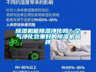 企业新闻除湿机能除湿净化吗？空气净化效果好的除湿机品牌