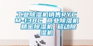 工业除湿机销售RYCM-138C 商业除湿机 精密除湿机 移动除湿机