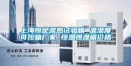 上海恒定湿热试验箱 温湿度可控箱厂家 恒温恒湿箱价格