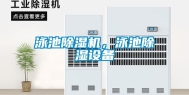 泳池除湿机，泳池除湿设备