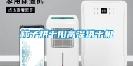 柿子烘干用高温烘干机