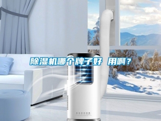 行业新闻除湿机哪个牌子好 用啊？