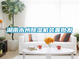 行业新闻湖南永州除湿机装置批发