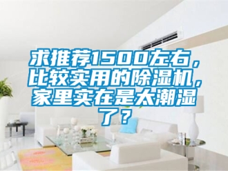 行业新闻求推荐1500左右，比较实用的除湿机，家里实在是太潮湿了？