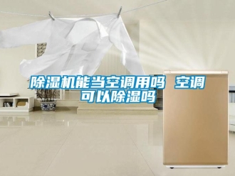 行业新闻除湿机能当空调用吗 空调可以除湿吗