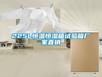 常见问题225L恒温恒湿箱试验箱厂家直销