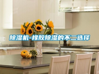 企业新闻除湿机-橡胶除湿的不二选择