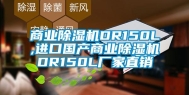 商业除湿机DR150L,进口国产商业除湿机DR150L厂家直销