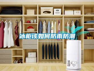 企业新闻冰柜该如何防雨防潮