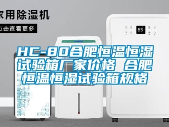 常见问题HC-80合肥恒温恒湿试验箱厂家价格 合肥恒温恒湿试验箱规格