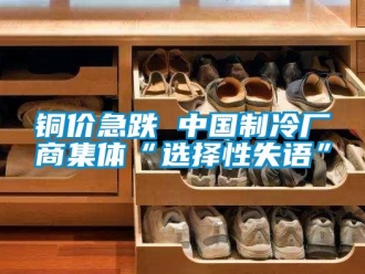 知识百科铜价急跌 中国制冷厂商集体“选择性失语”