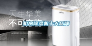 机房除湿机十大品牌