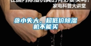 贪小失大，超低价除湿机不能买
