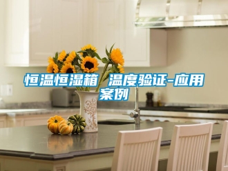 知识百科恒温恒湿箱 温度验证-应用案例