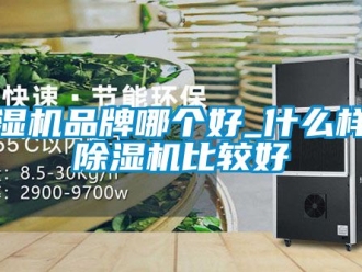 企业新闻除湿机品牌哪个好_什么样的除湿机比较好
