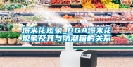 爆米花现象_BGA爆米花现象及其与防潮箱的关系