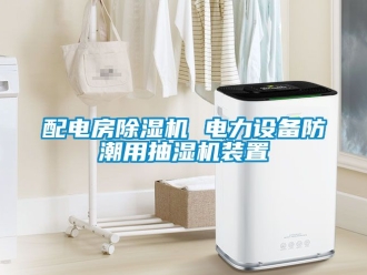 行业新闻配电房除湿机 电力设备防潮用抽湿机装置