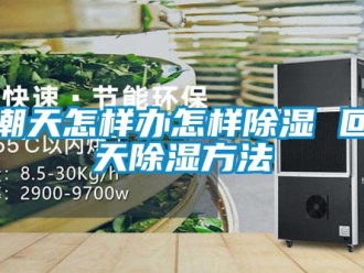 企业新闻回潮天怎样办怎样除湿 回潮天除湿方法