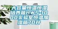 大容量恒温恒湿培养箱HWS-1000实验室恒温加湿箱70升
