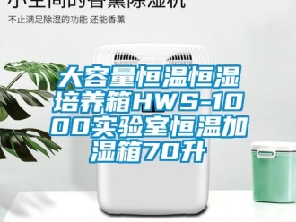 知识百科大容量恒温恒湿培养箱HWS-1000实验室恒温加湿箱70升