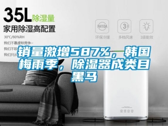 行业新闻销量激增587%，韩国梅雨季，除湿器成类目黑马