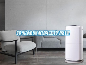 知识百科转轮除湿机的工作原理