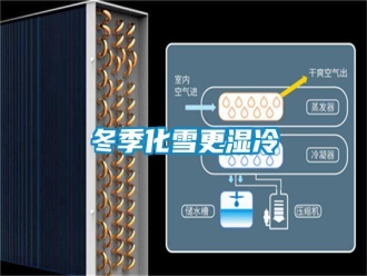 企业新闻冬季化雪更湿冷