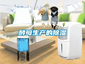 行业新闻酵母生产的除湿