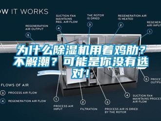 行业新闻为什么除湿机用着鸡肋？不解潮？可能是你没有选对！