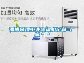 企业新闻淄博吊顶工业除湿机定制 厂家＊＊