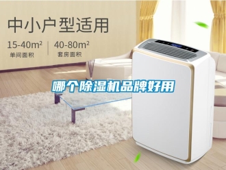 企业新闻哪个除湿机品牌好用