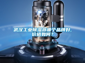 行业新闻武汉工业除湿器哪个品牌好,价格如何？