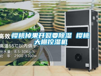 知识百科樱桃掉果开裂要除湿 樱桃大棚控湿机