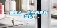 梅雨天，汽车防潮有妙招