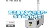 除湿机是怎么除湿的？原来这么有意思