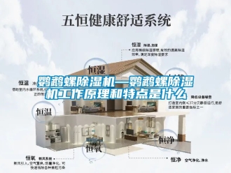 行业新闻鹦鹉螺除湿机—鹦鹉螺除湿机工作原理和特点是什么