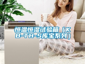 知识百科恒温恒湿试验箱（KB-TH-S库宝系列）