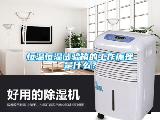 知识百科恒温恒湿试验箱的工作原理是什么？