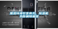 潮湿环境引发鼻炎，除湿机为你解除困扰
