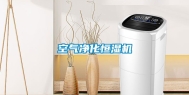 空气净化恒湿机