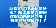 除湿机工作原理是什么？除湿机是否是应对潮湿的最好办法（有哪些品牌推荐）？