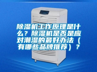 企业新闻除湿机工作原理是什么？除湿机是否是应对潮湿的最好办法（有哪些品牌推荐）？