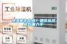 除湿机怎么选？建议从这些方面入手