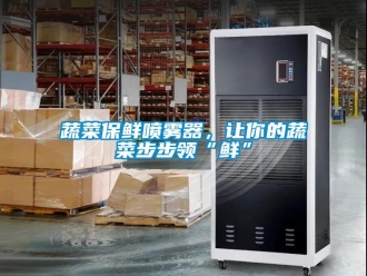 知识百科蔬菜保鲜喷雾器，让你的蔬菜步步领“鲜”