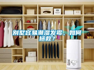 企业新闻别墅容易潮湿发霉，如何拯救？