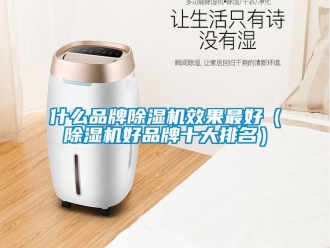 企业新闻什么品牌除湿机效果最好（除湿机好品牌十大排名）