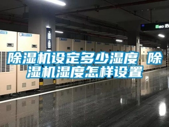 行业新闻除湿机设定多少湿度 除湿机湿度怎样设置