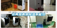 茶青摊青房除湿不能少
