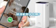 除湿机有什么用？